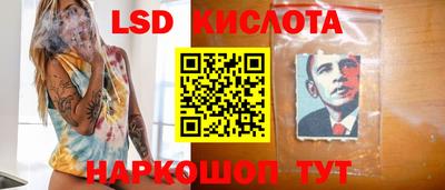дмт Краснодар