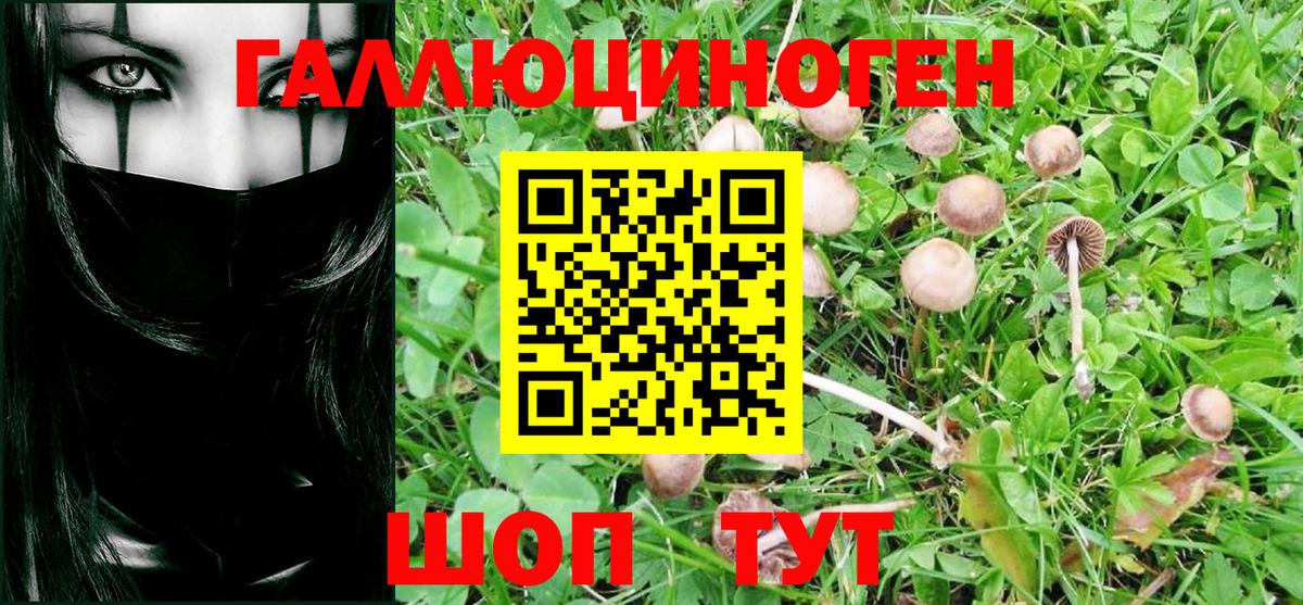 Кингисепп  Псилоцибиновые грибы ЛСД  Галлюциногенные грибы Psilocybe  Вход с VPN 
